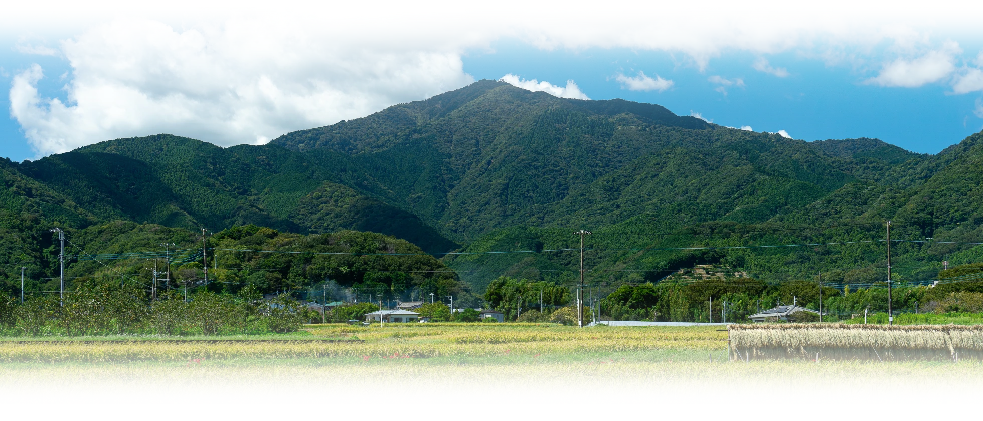 丹沢大山